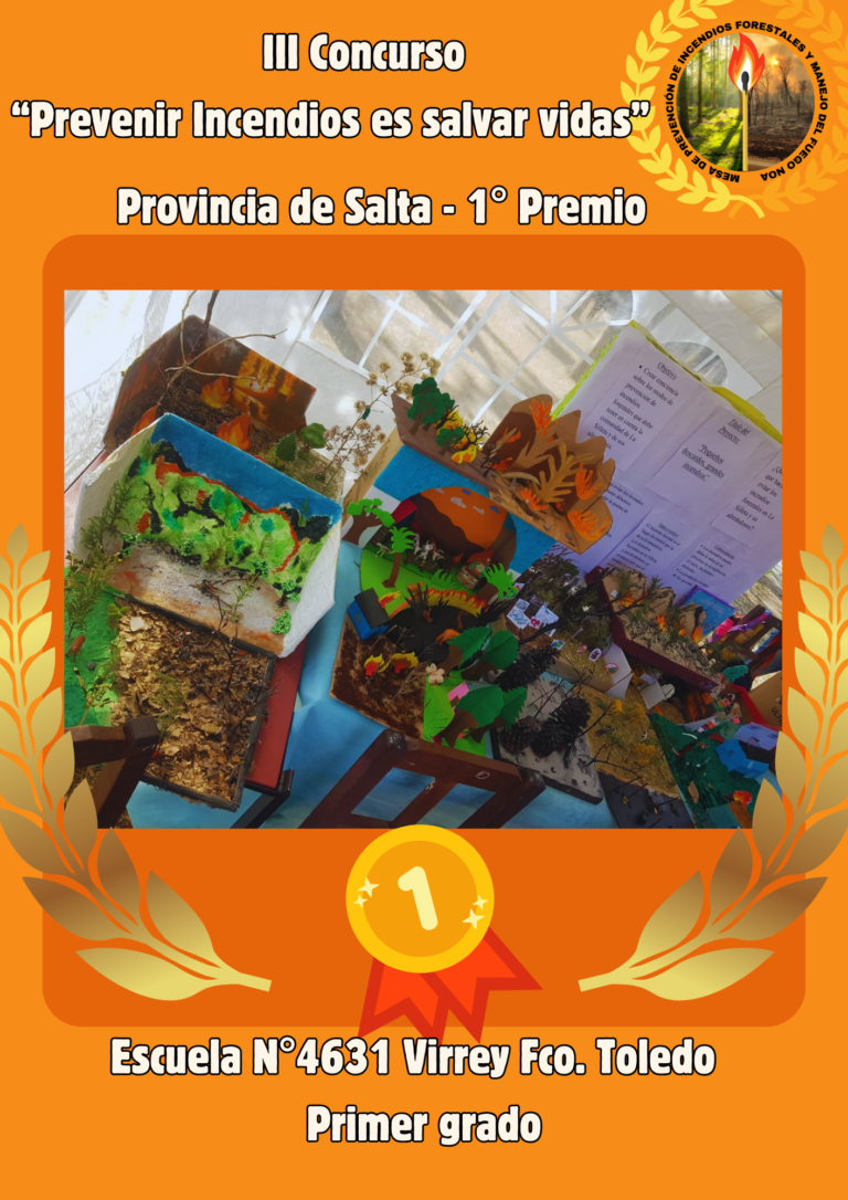 GANADORES del III Concurso “Prevenir incendios es salvar vidas” Provincia de Salta