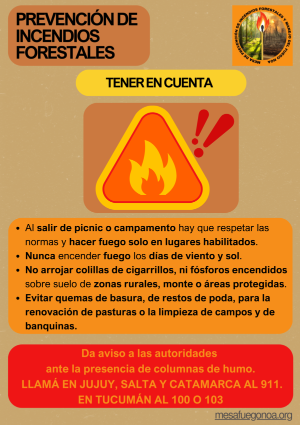 Flyers Prevención año 2024