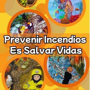 Libro Prevenir Incendios es Salvar Vidas