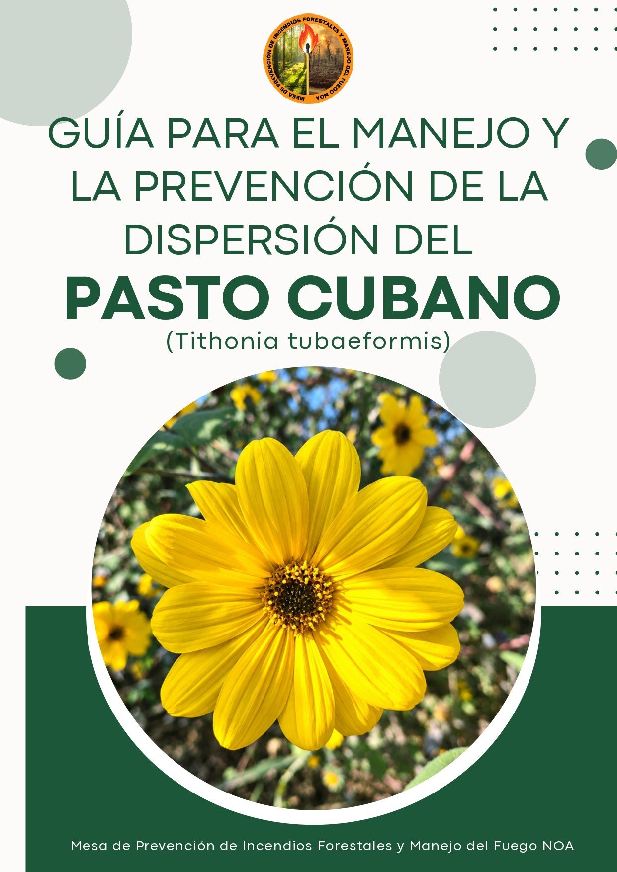 Guía para el manejo y la prevención de la dispersión del Pasto Cubano